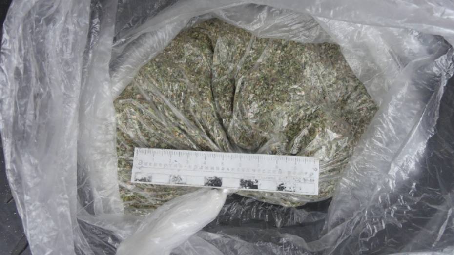 В Воронежской области пойманные с 1 кг марихуаны парни пойдут под суд 