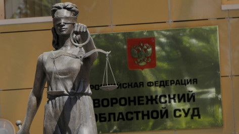 Воронежский облсуд рассмотрит жалобы на домашний арест Эдуарду Ельшину 29 января