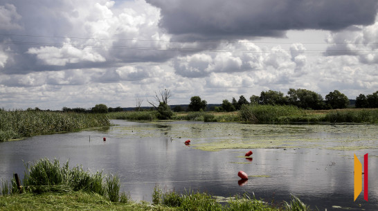 Двое мужчин утонули в Воронежской области 10 августа