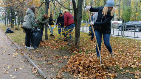 Обзор РИА «Воронеж»: как в Воронеже прошел осенний субботник