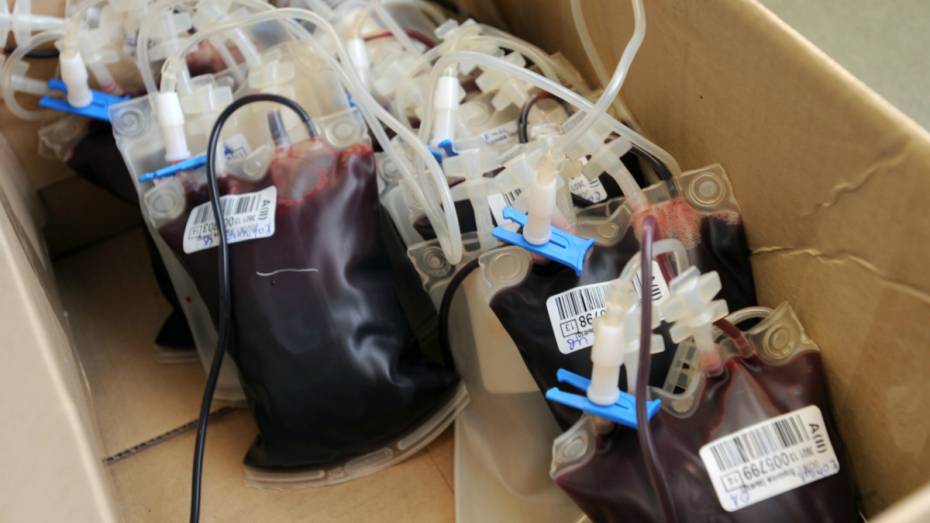 Под Воронежем для спасения жизни многодетной матери перелили 7,5 литра крови