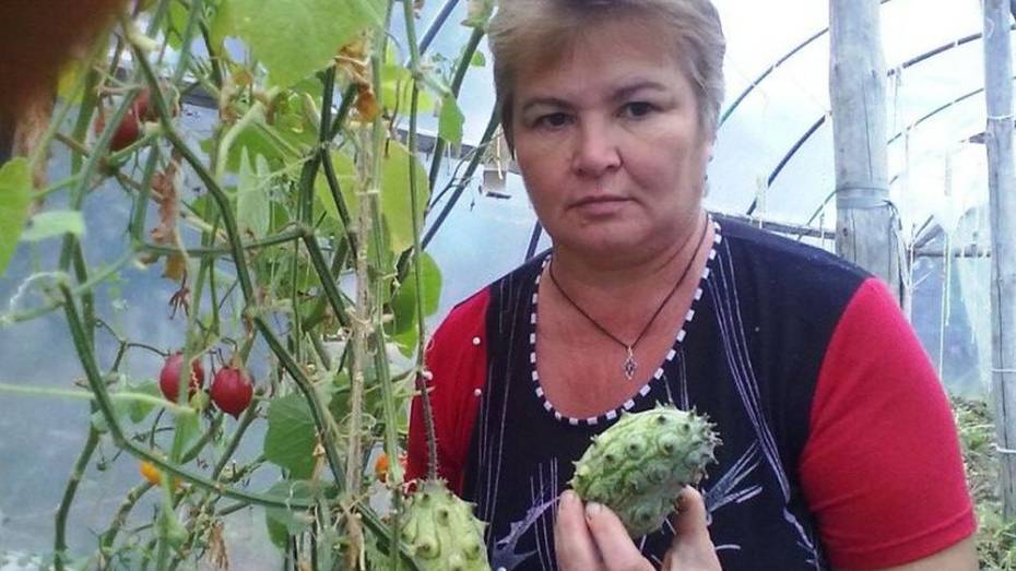 Жительница Россошанского района собрала урожай экзотических фруктов 