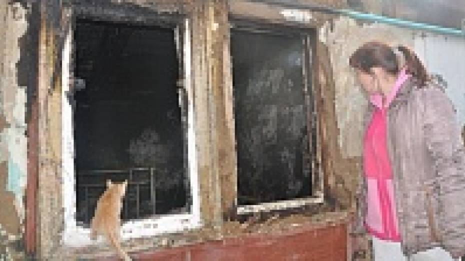 В Павловске из-за пожара в многоквартирном доме лишились жилья две семьи