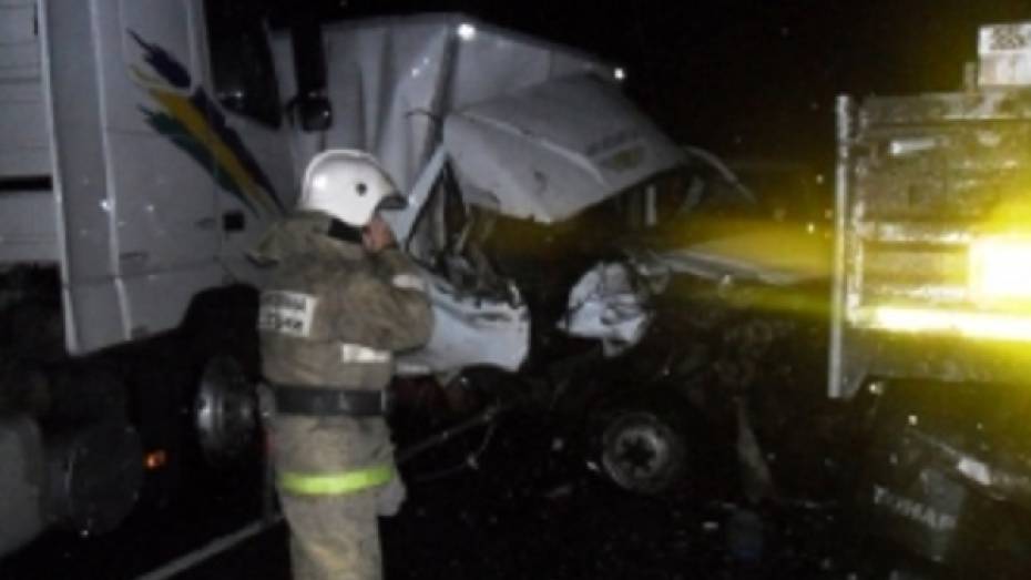 В Воронежской области при столкновении 2 фур погиб один из водителей 