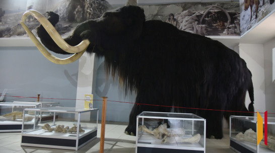 Воронежский музей-заповедник «Костенки» продлил туристический сезон