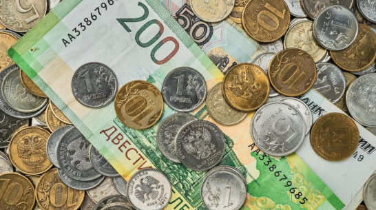 В Воронежской области средний ежемесячный доход за год вырос на 14%