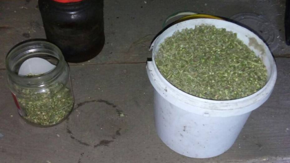 Полиция нашла килограмм марихуаны и 1,5 кг конопли у жителя Воронежской области