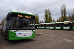 Приехали! Воронеж получил 62 низкопольных автобуса по федеральной программе