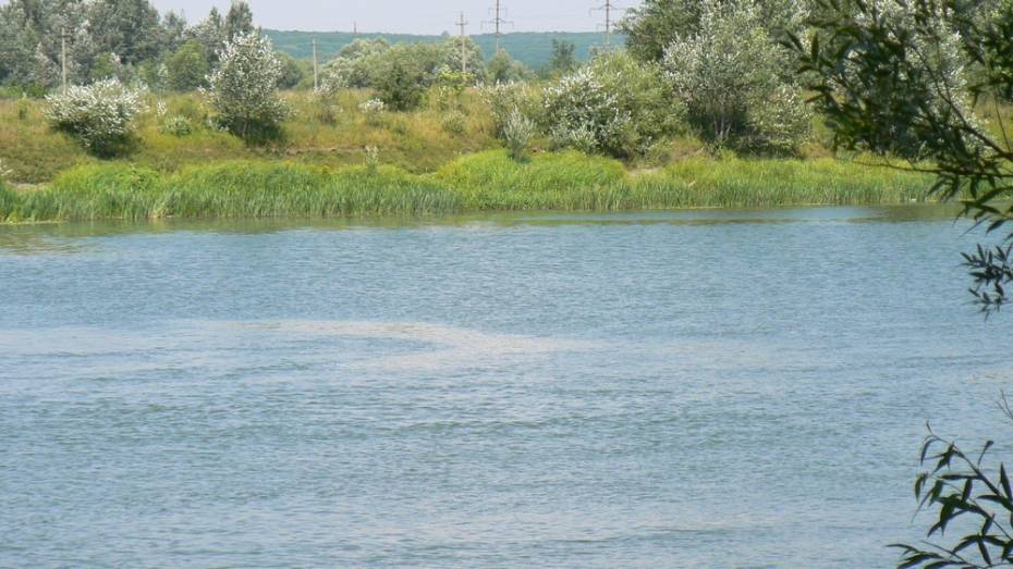 Под Воронежем в пруду утонул 38-летний житель Семилук