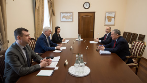 Губернатор Воронежской области встретился с представителем МИД России