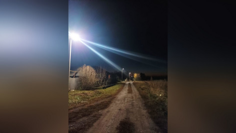В острогожском селе Гнилое установили уличные светильники