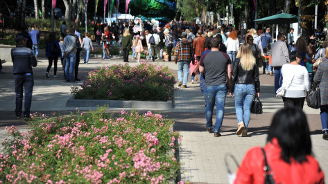 Губернатор: в Центральном парке Воронежа не появится второго водохранилища