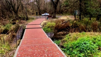 Общественники нижнедевицкого села Новая Ольшанка благоустроили территорию святого источника