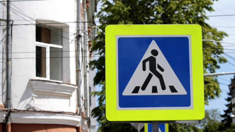 В Воронеже оборудуют еще 15 приподнятых пешеходных переходов