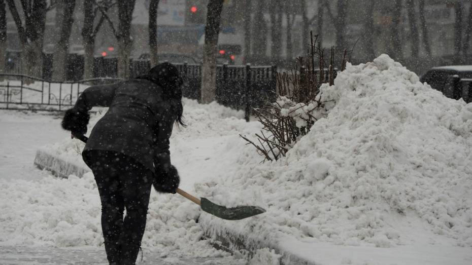МЧС предупредило о сильном снеге с ветром и заносах в Воронежской области 2 декабря