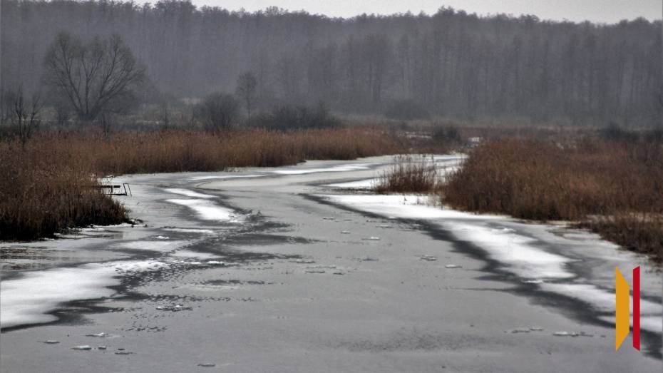 Прокуратура взяла на контроль расследование уголовного дела об утонувших под Воронежем детях