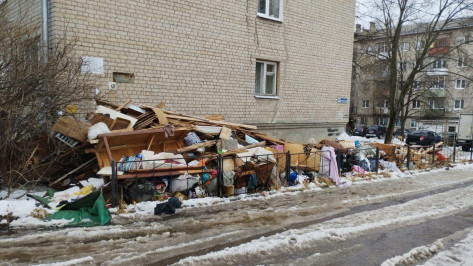 Воронежцы пожаловались на гору мусора возле дома, которую не убирают с Нового года