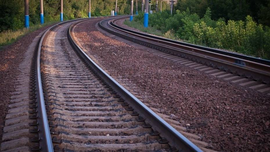 В Воронежской области мотоциклист погиб под электровозом