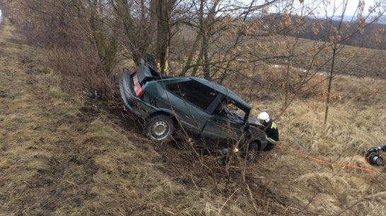 В Воронежской области водитель легковушки вылетел в кювет и погиб