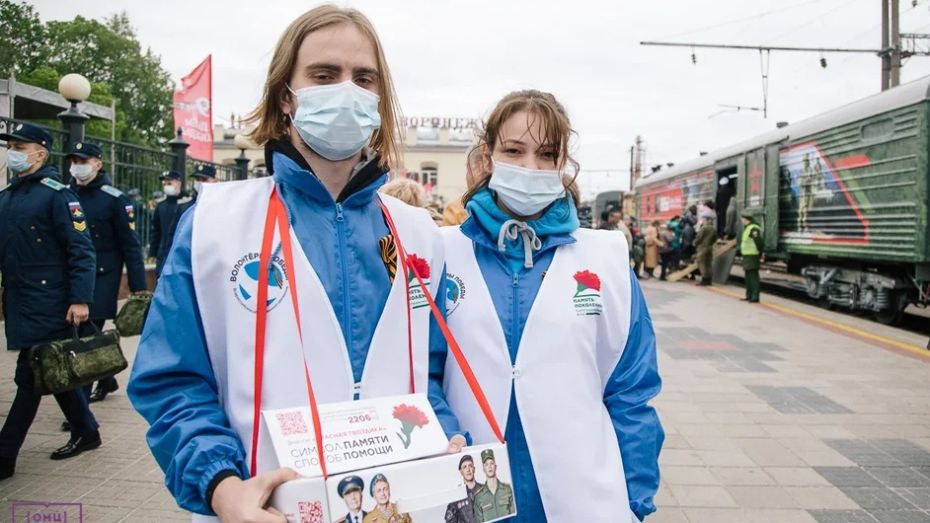 Благотворительная акция «Красная гвоздика» стартовала в Воронежской области