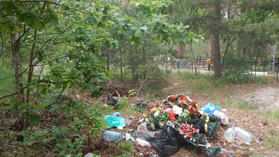 Воронежский заповедник пожаловался на стихийное кладбище в Краснолесном