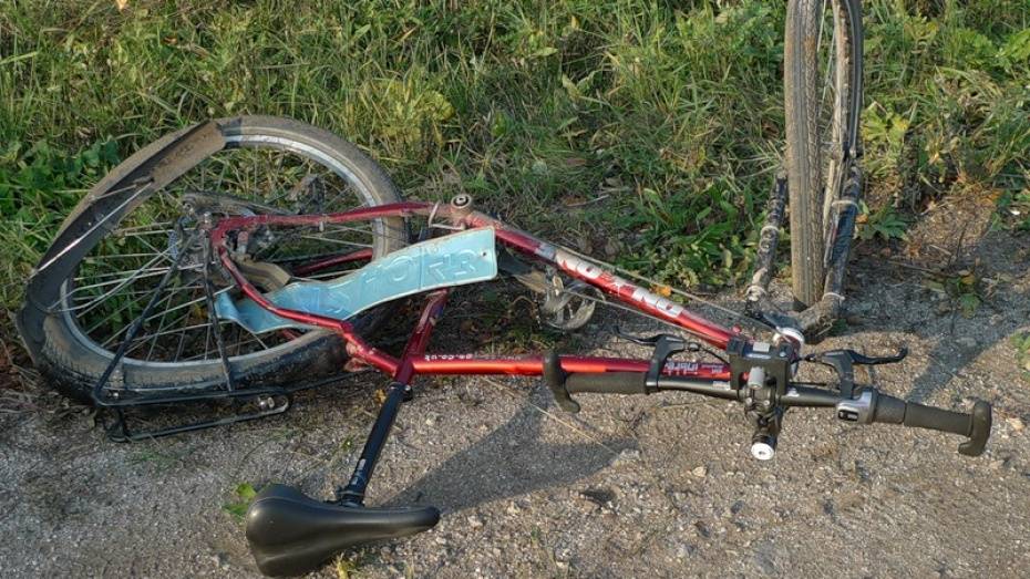 В Кантемировском районе автоледи сбила почтальона на велосипеде