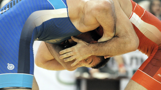 «Залов не хватает». Как в Воронеже развивается спортивная борьба