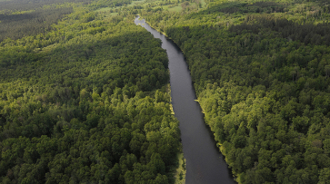 Дирекцию особо охраняемых природных территорий создадут в Воронежской области