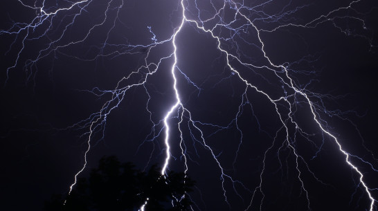 В Воронежской области 12-летний мальчик погиб от удара молнии во время рыбалки