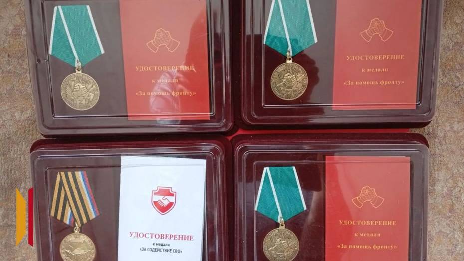 В Грибановском районе наградили 27 волонтеров СВО