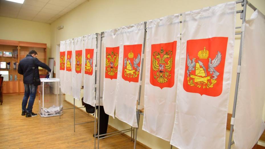 В выборах в Воронежской области приняли участие свыше 45% избирателей