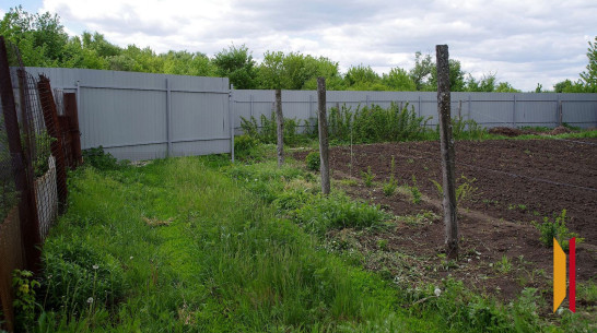 В Воронеже у бизнесменов отберут два земельных участка, незаконно оформленных в частную собственность