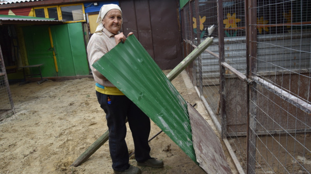Поворинская зоозащитница попросила помочь с ремонтом вольера для 110 животных