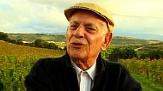 Воронежская программа фестиваля научного кино 360° открылась фильмом о виноделах