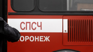 В Воронеже подросток поджег 3 автомобиля