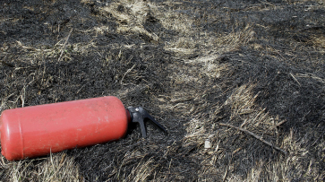 Пожарная опасность выросла до среднего уровня в Воронеже и 11 районах области