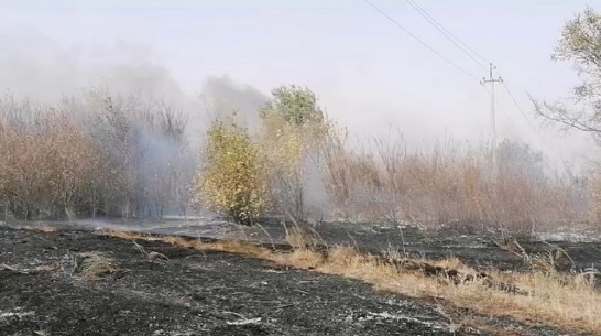 Более 90 ландшафтных пожаров тушат в Воронежской области