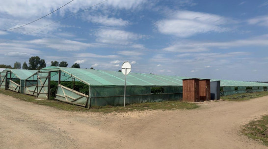 В Воронежской области возбудили уголовное дело после истории с принудительным трудом на ферме