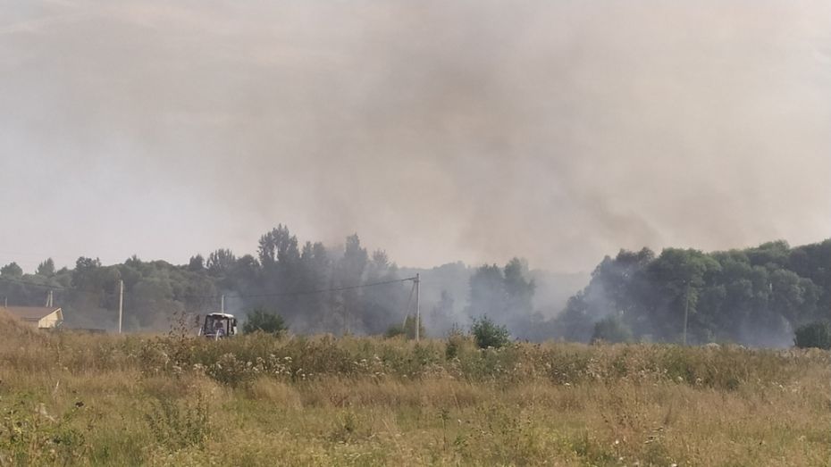 Под Воронежем пожарные 7 часов тушили траву и камыш