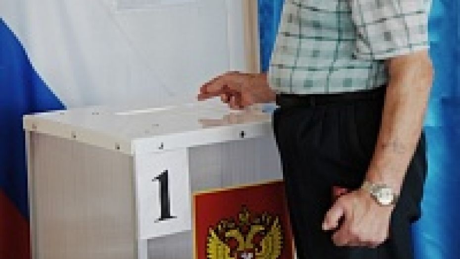 «Гражданский контроль» назвал голосование на воронежских выборах «цивилизованным»