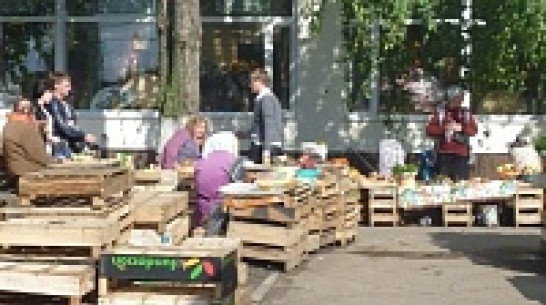 Сельскохозяйственные ярмарки пройдут в Воронеже 16 августа