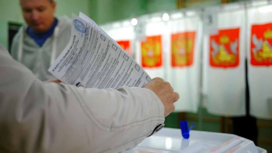 Центризбирком сообщил о подкупе избирателей в Воронежской области