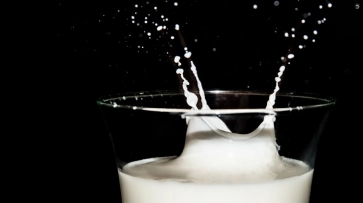 Воронежский Роспотребнадзор за год снял с продажи 6 т некачественных молочных продуктов 