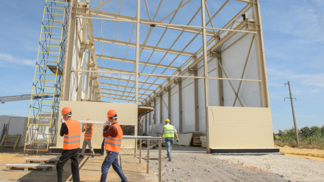 Под Воронежем начнут производить продукцию из индейки