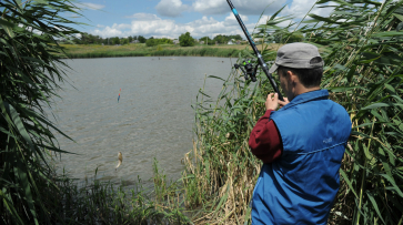 Лучшие дни для рыбалки в августе назвали жителям Воронежской области