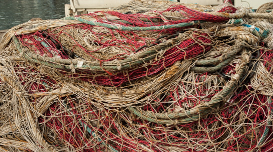 В Аннинском районе рыбака оштрафовали за самодельную огромную сеть