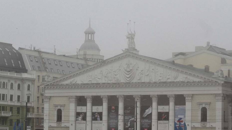 Туман и 19-градусный мороз прогнозируют в Воронежской области
