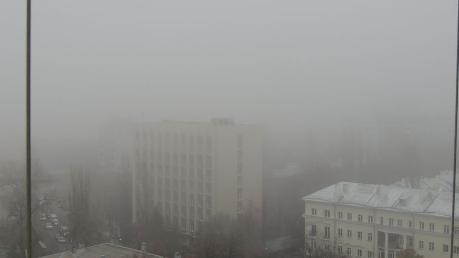 Жителей Воронежской области предупредили о тумане вечером 22 января