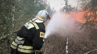 Из Нижегородской области вылетели 2 вертолета на помощь в тушении пожара под Воронежем