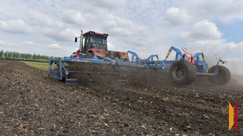 Воронежский министр сельского хозяйства назвал достижения и вызовы сферы АПК в 2024 году